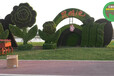 玛曲佛甲草绿雕，2022春节植物雕塑，立体花坛