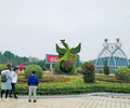靜海菊展綠雕，虎年景觀小品，節日綠雕