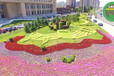 深圳城市綠雕工程，虎年五色草造型，廣場大花籃