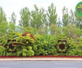 武江虎年立體花壇，2022春節植物雕塑，綠雕廠家