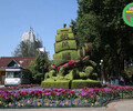 分宜2024春节绿雕制作过程，引流打卡景观提升