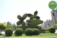 通辽广场大型绿雕，2022年绿雕，雕塑大花篮制作