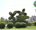 賓陽仿真植物墻，2022春節植物雕塑，綠雕