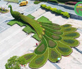 敘永網紅景觀綠雕效果圖設計，大型仿真景觀