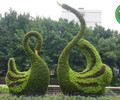 永昌立体绿化设计公司，龙年绿雕装饰