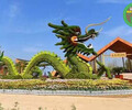 泰和公園綠雕，2022春節植物雕塑，園林綠化