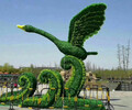 梧州五色草造型綠雕制作廠家，植物雕塑造景