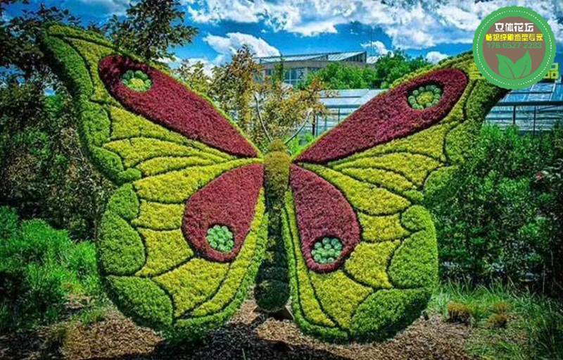 南岳城市植物雕塑，2022春节植物雕塑，绿雕图片