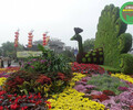 武清立體花壇，2022圣誕節綠雕，景觀造型