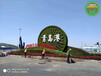湘阴旅游绿雕案例图片，五色草造型