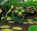 潢川创意绿雕生产多图，运动会景观图片