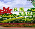 米東綠雕植物墻，2022春節立體花壇，綠化景觀