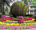 宣威節慶綠雕方案設計，景區五色草動植物