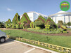 自贡城市景观绿雕报价查询，景区五色草动植物