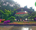 清水城市植物雕塑，虎年五色草造型，綠雕廠家
