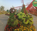 蘄春廣場大花籃，2022圣誕節綠雕，園林綠化