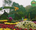 信宜2024春节绿雕设计公司，景区绿植景观