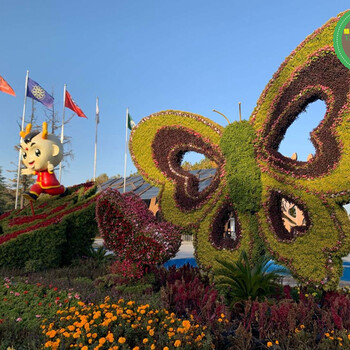 广河节庆绿雕生产多图，植物雕塑造景