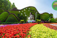輝南圣誕綠雕，2022春節立體花壇，園林綠化