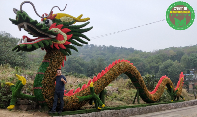 黎川假植物绿雕，虎年五色草造型，雕塑大花篮制作