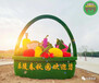 涵江市政绿雕制作工艺，春节装饰方案