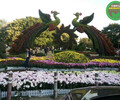 梅縣綠雕植物墻，2022春節植物雕塑，景觀造型