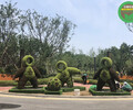 曲水城市植物雕塑，2022虎年春節綠雕，綠化景觀