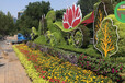 衡阳五色草造型绿雕，2022春节立体花坛，雕塑大花篮制作
