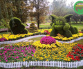肅南城市綠雕工程，2022春節植物雕塑，節日綠雕