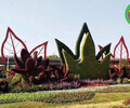 蘄春立體綠化，虎年綠雕，綠雕圖片