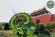 黄州城市植物雕塑，2022仿真绿雕，主题花雕