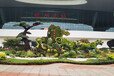 临洮孔雀绿雕生产多图，植物雕塑设计