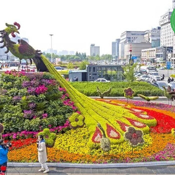 会宁网红景观绿雕供货价格，植物雕塑图