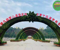 昭通市政綠雕，2022虎年春節綠雕，制作廠家