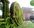 水城虎年立體花壇，2022春節綠雕，雕塑大花籃制作