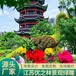 陕西安康国庆绿雕节日景观绿雕制作厂家菊花艺术展
