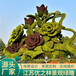 滨州绿雕菊花雕塑造型设计2022已更新(资讯)