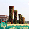 吴忠二十绿雕设计大型景观图片大全景观雕塑