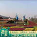 泸县绿雕油菜花地景观设计公司2022已更新(访问)