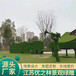梅州二十个大型绿雕设计案例制作过程(今日/行情)