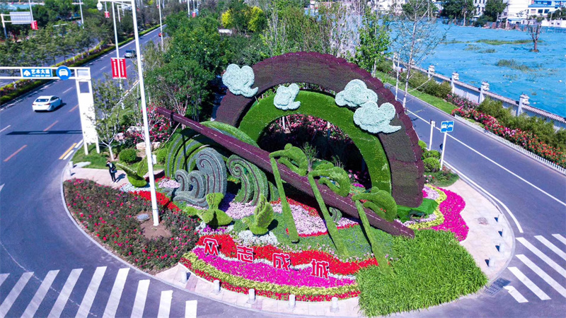 长涂二十组大型绿雕方案生产厂家 菊花展