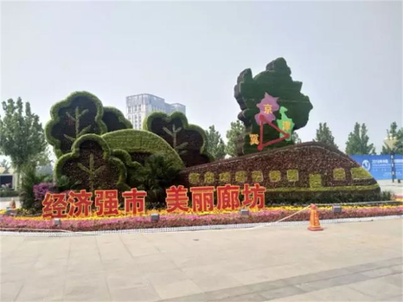 化州二十组大型绿雕方案制作价格 菊花展