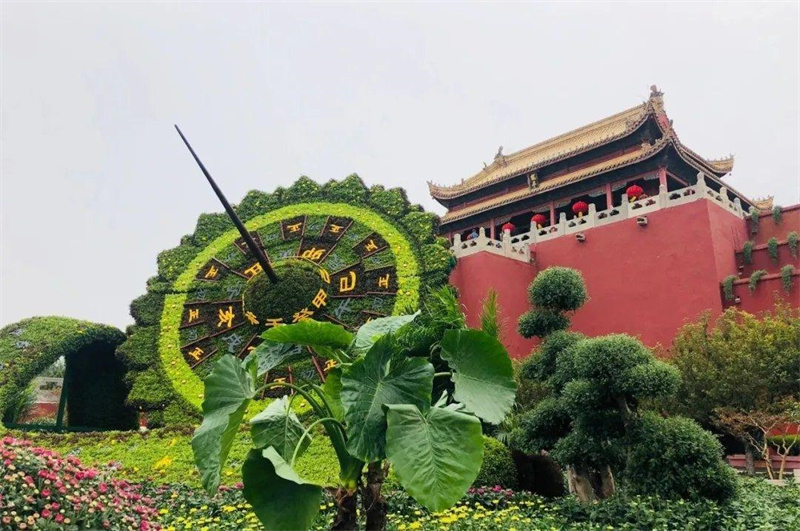 上海二十花坛大型绿雕市场报价 立体花坛多少钱