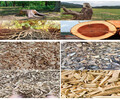 荆州菌菇种植料木屑粉碎机用途多
