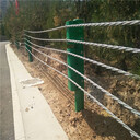 四川公路景區(qū)纜索護(hù)欄生產(chǎn)廠家公路纜索防撞護(hù)欄索道圍欄