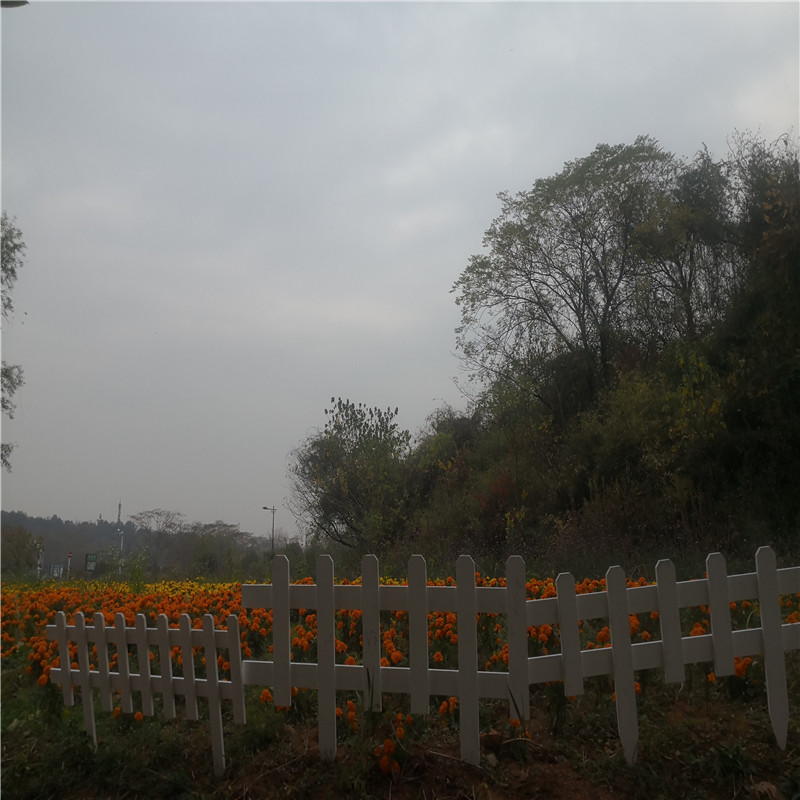 唐山农村竹子护栏碳化防腐木篱笆竹篱笆竹子护栏