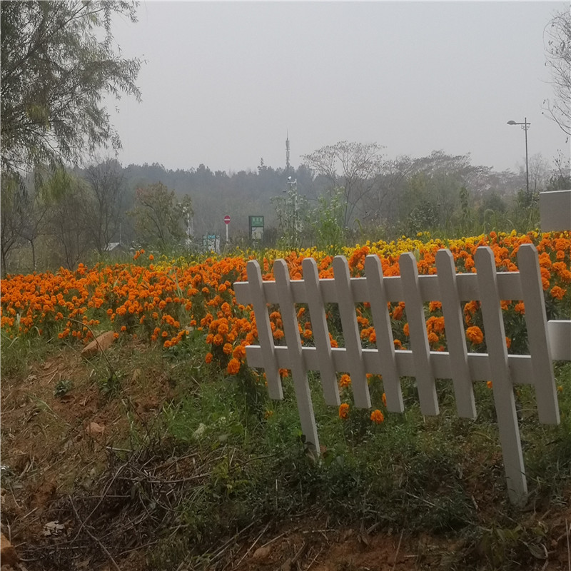 长宁花园隔断装饰木头装饰隔断竹篱笆竹子护栏