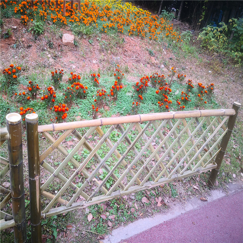 西安护栏草坪庭院护栏竹篱笆竹子护栏