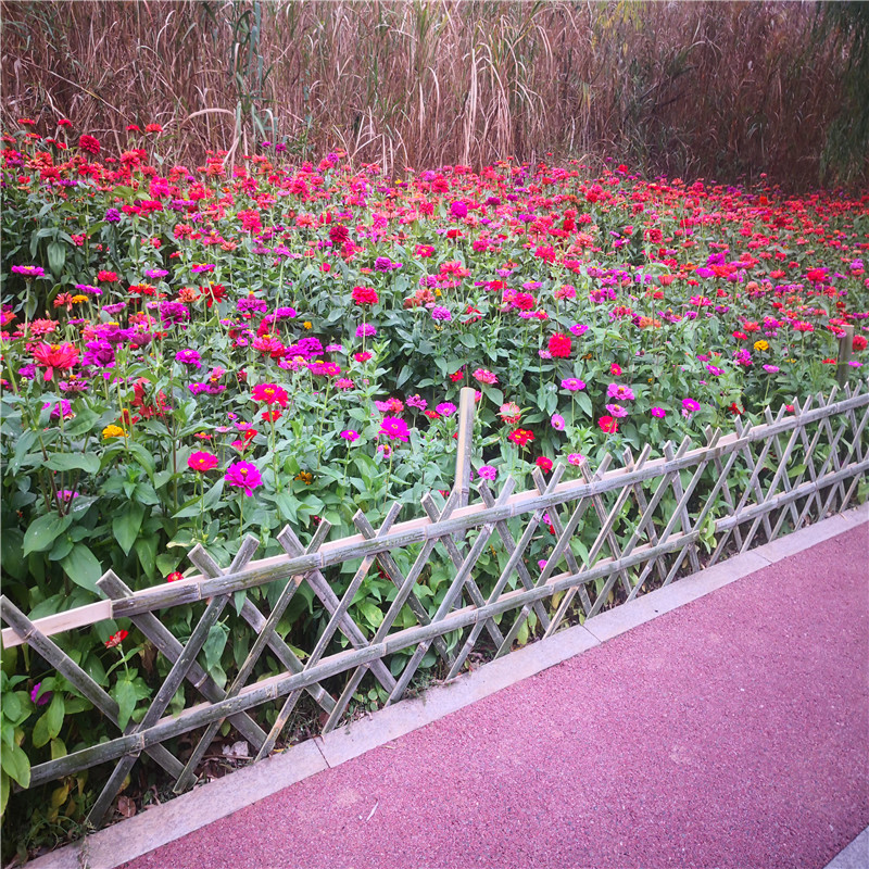重庆武隆围菜园栅栏户外庭院菜园竹篱笆竹子护栏