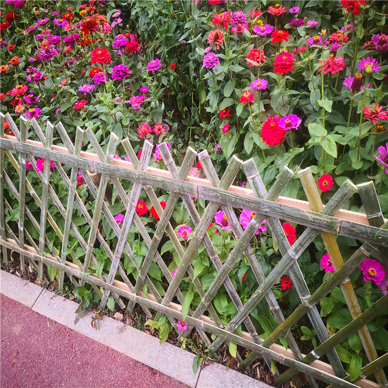 巫溪菜园围栏户外装饰篱笆竹篱笆竹子护栏